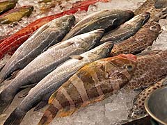 Colorful fish at Aw Taw Kaw Market