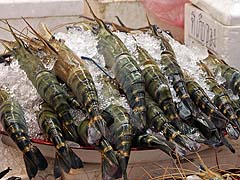 Bigger than jumbo shrimp at Aw Taw Kaw Market