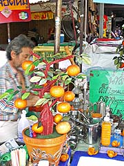 Vendor at Tha Tien pier