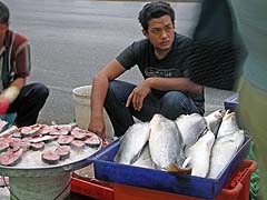 Fish vendor on the curb near Sukhumvit Soi 55