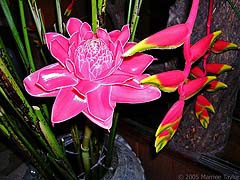 Flowers in the lobby