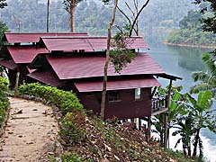 Cabins perched on a hillside overlooking Cheow Lan Lake