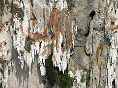 Karst erosion detail