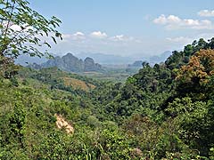 Heavily forested limestone karsts