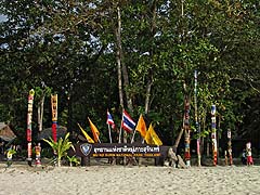 Welcoming Committee at Koh Surin